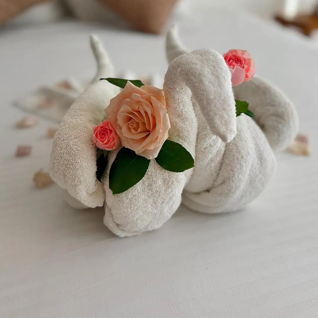 Hotel International House Riviera Maya Плая-дель-Кармен