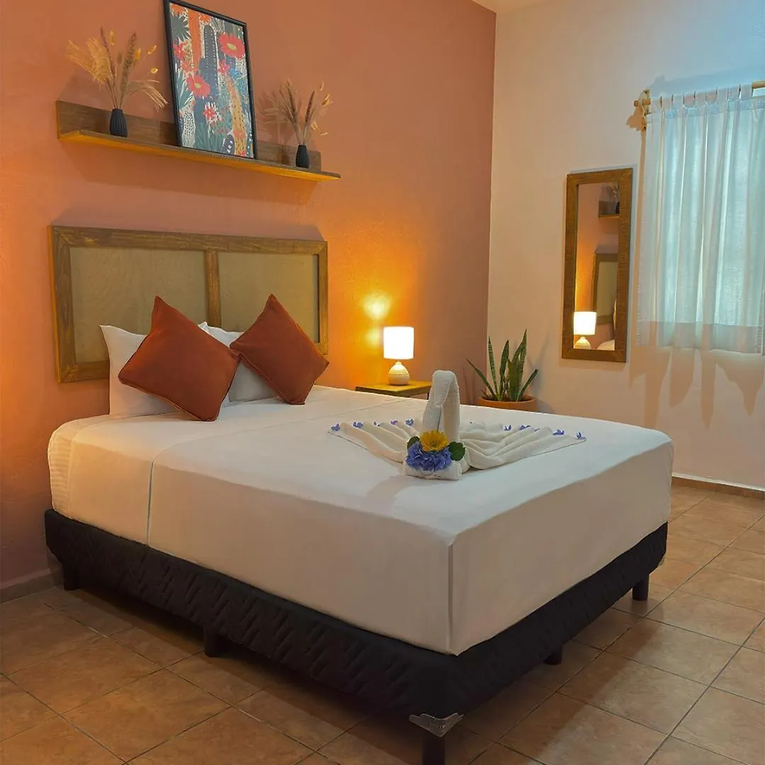 Hotel International House Riviera Maya Плая-дель-Кармен 2*,
