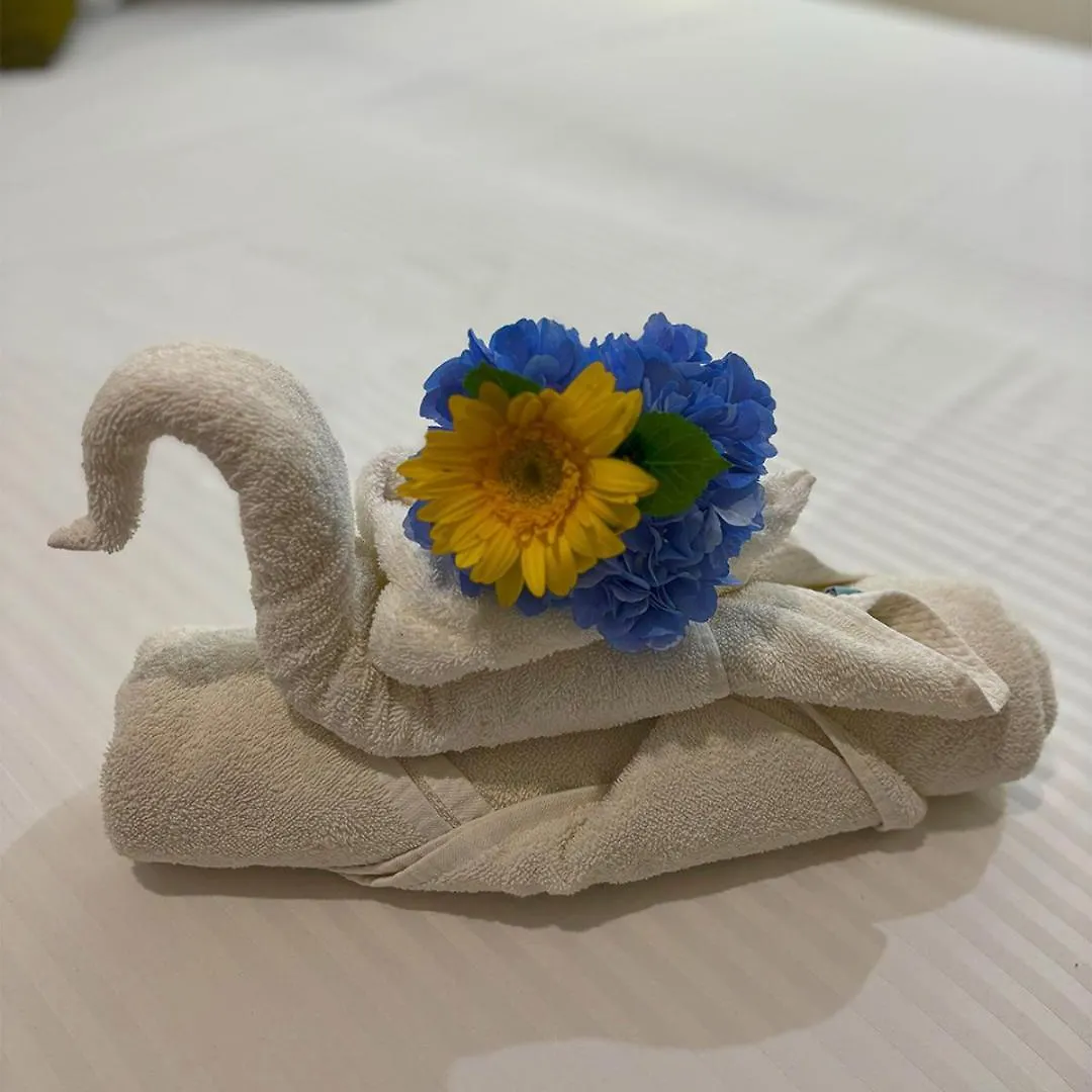 Hotel International House Riviera Maya Плая-дель-Кармен