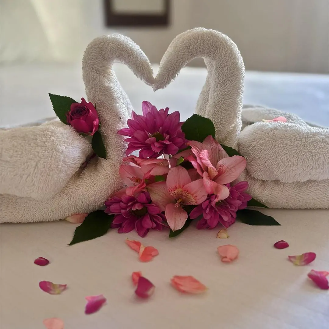 Hotel International House Riviera Maya Playa del Carmen